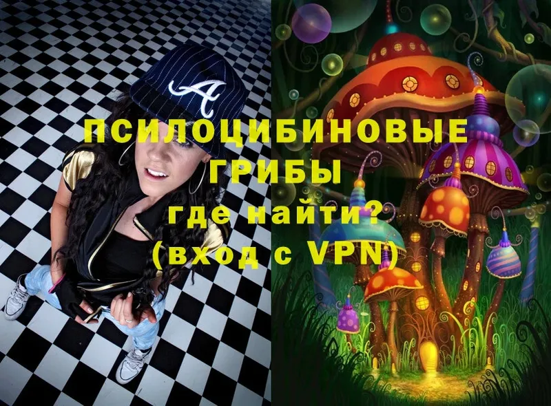 купить   Касимов  Псилоцибиновые грибы MAGIC MUSHROOMS 